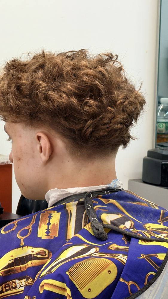 Curly top with clean taper